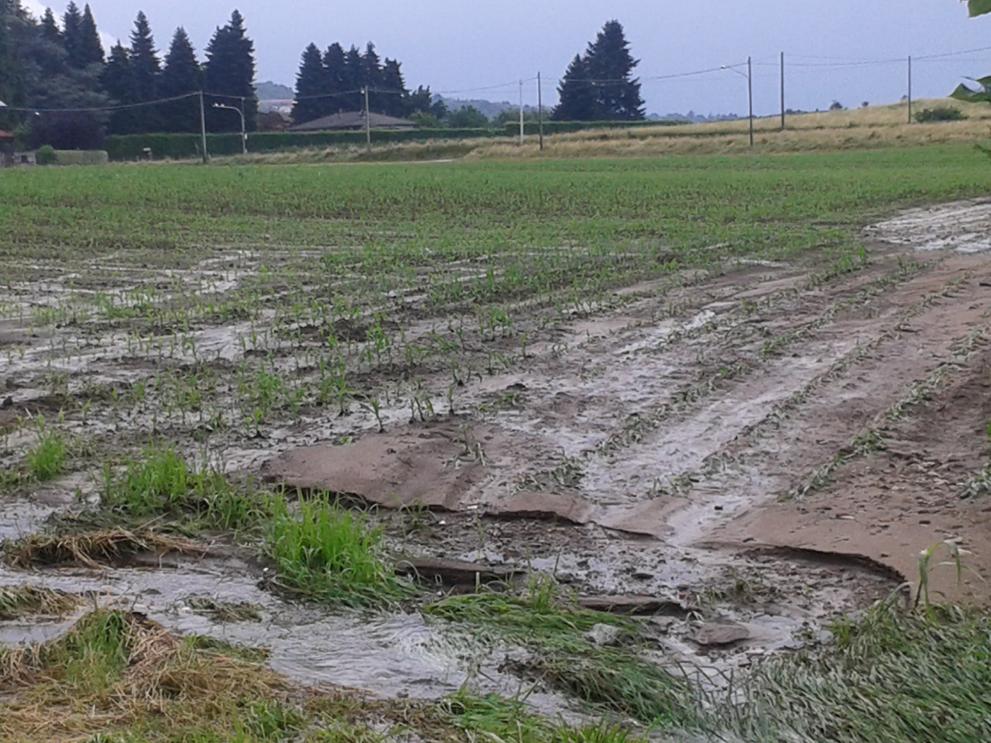 Image showing soil erosion in a field.