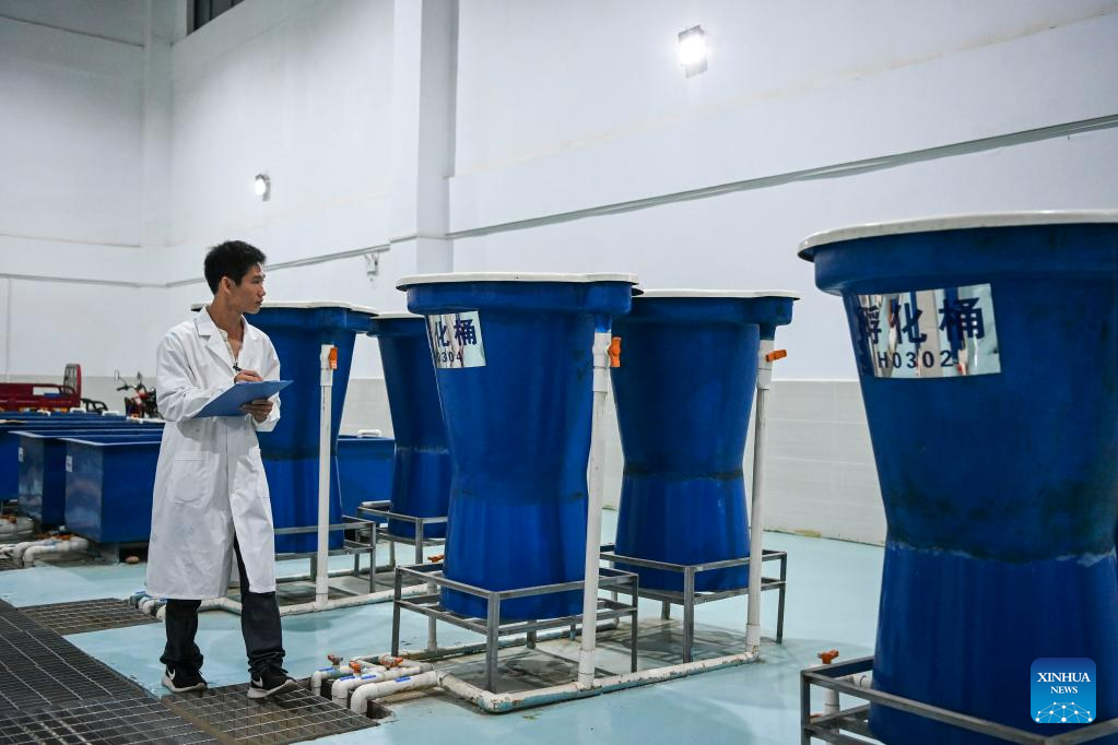 https://english.news.cn/20230521/83dbede3658b4b0988cb78eb51e532ff/2023052183dbede3658b4b0988cb78eb51e532ff_20230521545d208efd674606ac00855679c20306.jpg