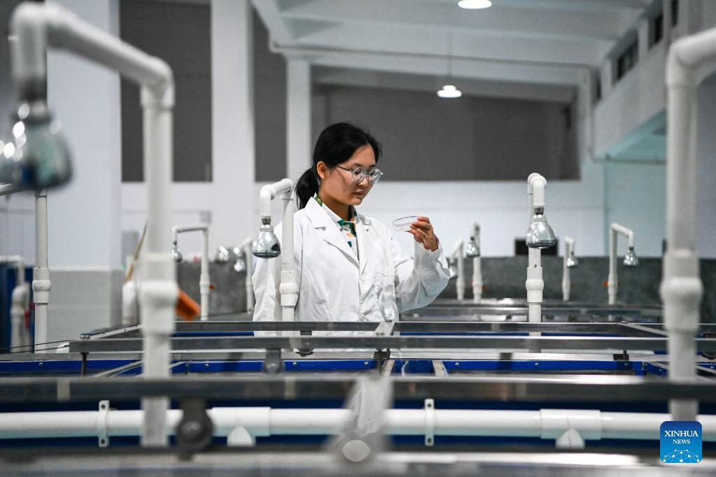 https://english.news.cn/20230521/83dbede3658b4b0988cb78eb51e532ff/2023052183dbede3658b4b0988cb78eb51e532ff_2023052166a64cb29b8943ab887e0a3d5e62aad9.jpg