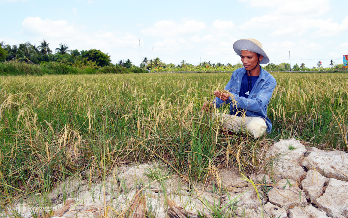 Severe subsidence and erosion afflict Vietnam's southernmost province