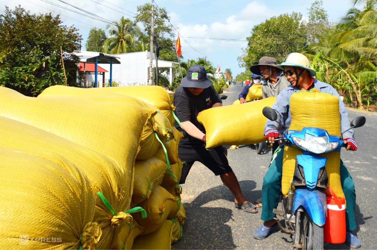 Severe subsidence and erosion afflict Vietnam's southernmost province